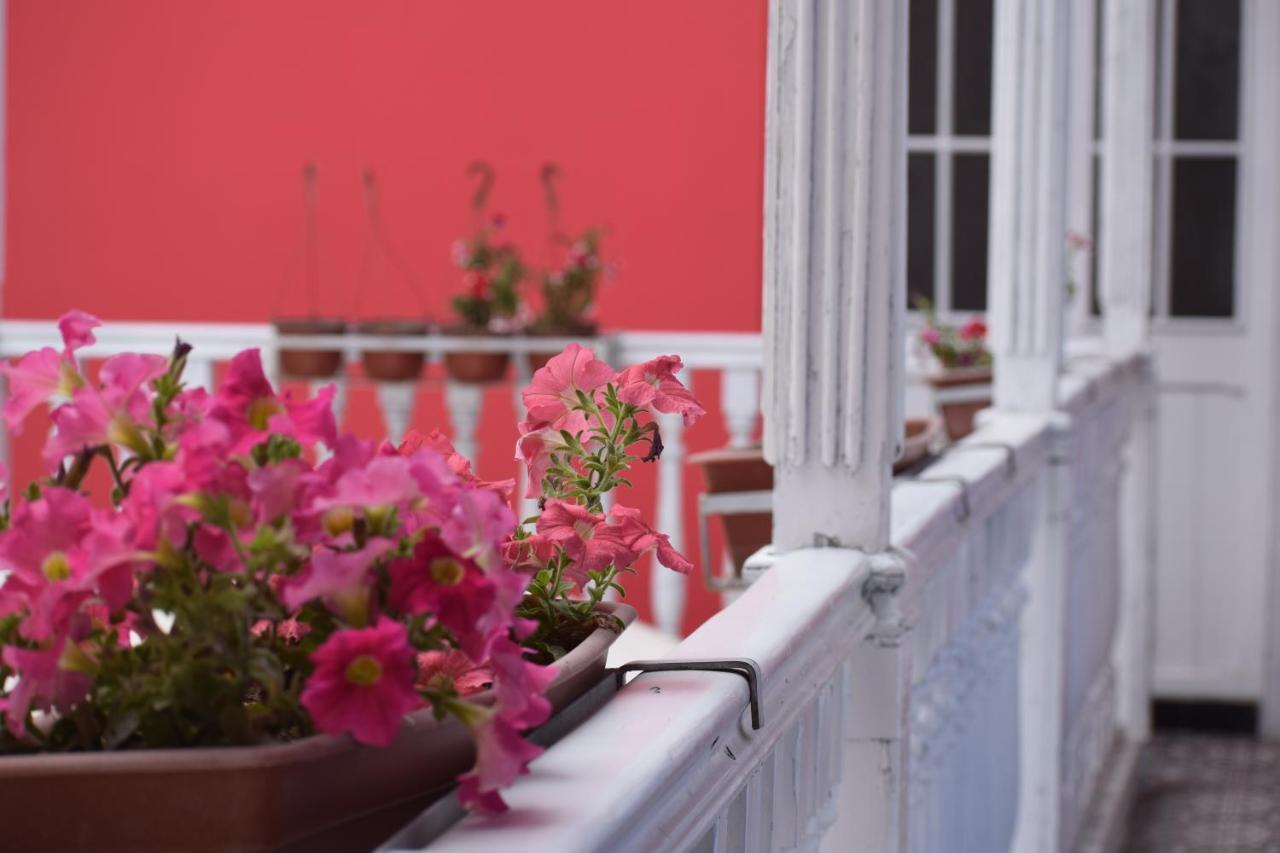 Mango Hostel B&B Arequipa Exteriör bild